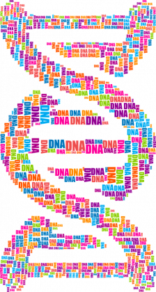 Eko Torba na Ramie *DNA Double Helix
