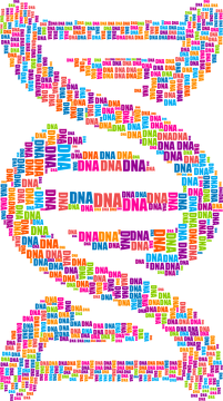 Kubek klasyczny *DNA Double Helix