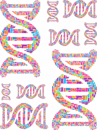 Body Niemowlęce *DNA Double Helix