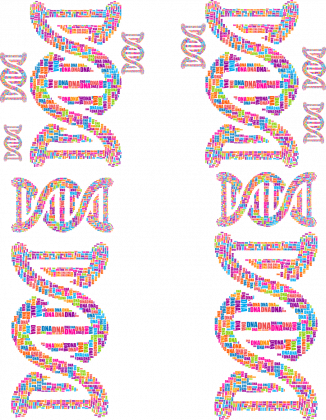 Japonki *DNA Double Helix