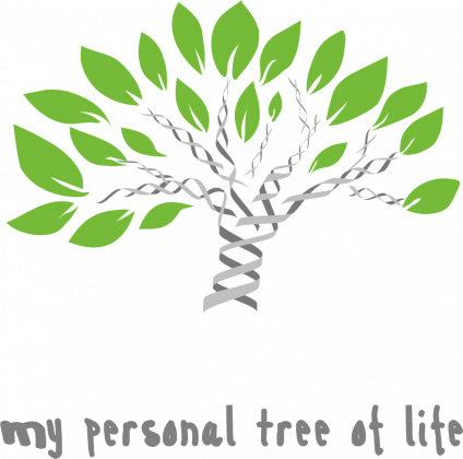 Koszulka męska *My personal tree of life