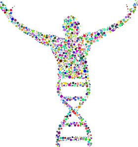 Kubek klasyczny *DNA