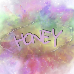 Koszulka damska HONEY