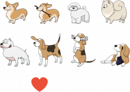I Love Dogs - Kocham psy- pieski - Psy