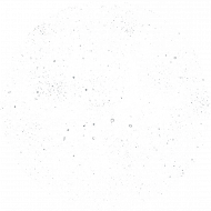 Octopus Space wt-shirt