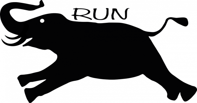 Run+Run Elephant