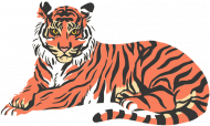 T-shirt damski "Tiger "