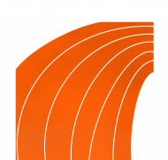 Koszulka męska BEFASTER