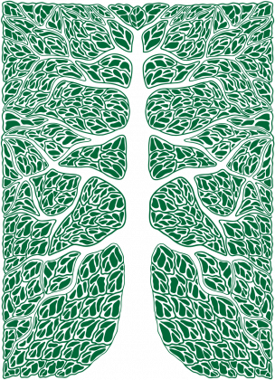 Yerba Mate Tree - koszulka męska