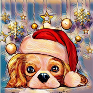 Koszulka  damska świąteczna