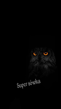 Torba na ramię sowa