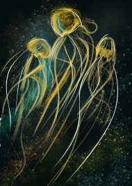 Obrazek z Meduzami