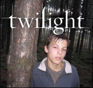 Louis twilight logo