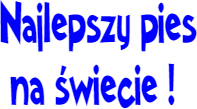 kubek najlepszy pies na świecie ! - nadruk