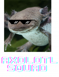 Axolotl squad