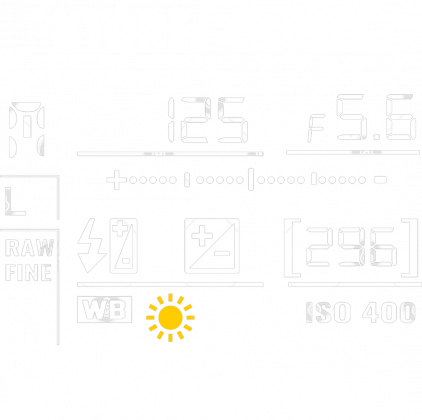 Fotograf. Prezent dla Fotografa. Koszulka dla Fotografa