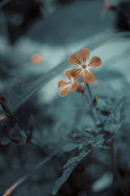 Piórnik metalowy - kwiaty surreal