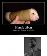 Homik Gibon
