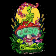 CCSQ Bluza kosmiczny buch