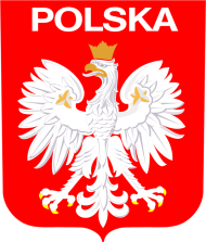 Koszulka młodego kibica Polski Polska orzeł dla Dziewczynki mundial 2022 katar