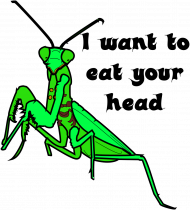 Koszulka Damska z długim rękawikiem Modliszka