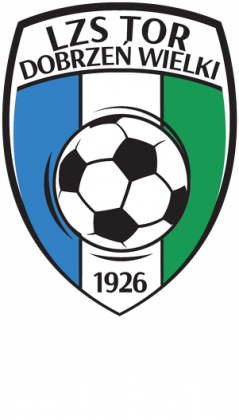 TOR - POLSKA - Bluza varsity męska