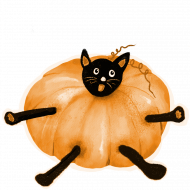 Kot w dyni - koszulka na Halloween