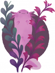Nieśmiały axolotl