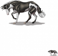 American Quarter Horse