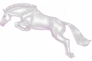 Jumping Star