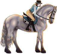 Dressage