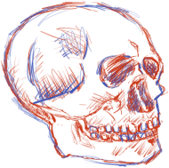 Kubek Skull Sketch