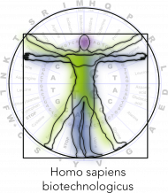 Homo sapiens biotechnologicus