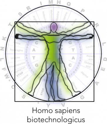 Homo sapiens biotechnologicus