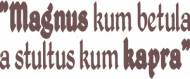 nadruk nizej