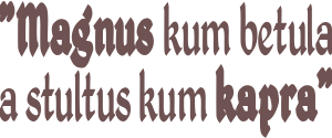 nadruk nizej