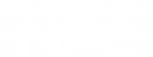 Non romancable NPC