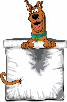 Body dziecięce Scooby Doo pocket kieszonka.