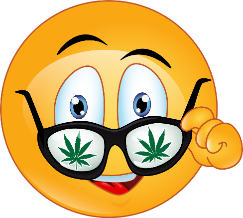 Grey Hoodie SmokingWeed