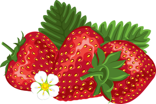 Truskawka 6