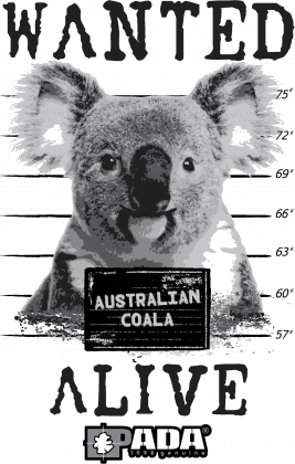 Koszulka męska - Koala. Pada