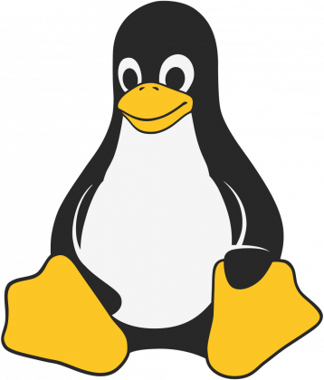 Linux Hashbang+Penguin Ecobag