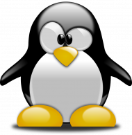 Koszulka pingwin D01