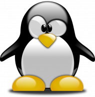 Koszulka pingwin C01