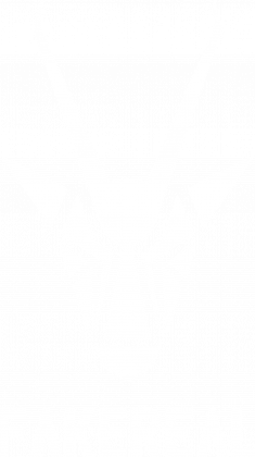 LOGO, niebieski t-shirt (męski)