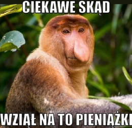 TypowyJanusz