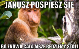 TypowyJanusz