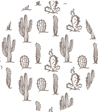 Kubek Brązowy kaktus