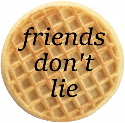 Friends don't lie - waffle bluza