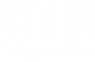 Honda 14